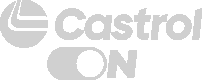 Castrol Partner
