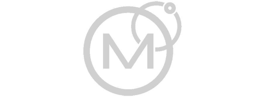 Merge IT Partner